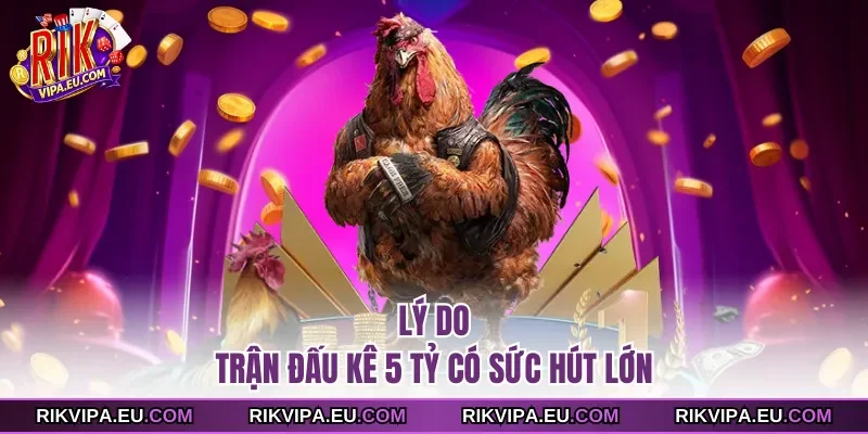 Lý do trận đấu kê 5 tỷ có sức hút lớn