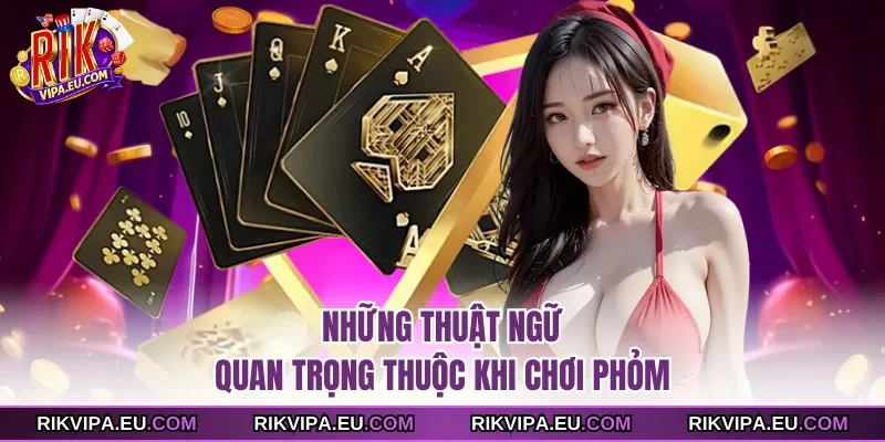 Những thuật ngữ quan trọng thuộc khi chơi Phỏm