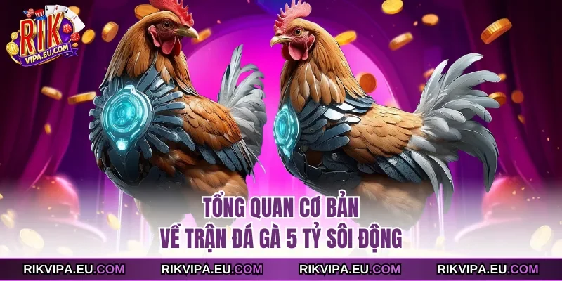Tổng quan cơ bản về trận đá gà 5 tỷ sôi động