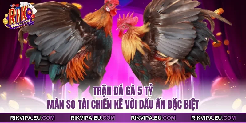 Trận đá gà 5 tỷ